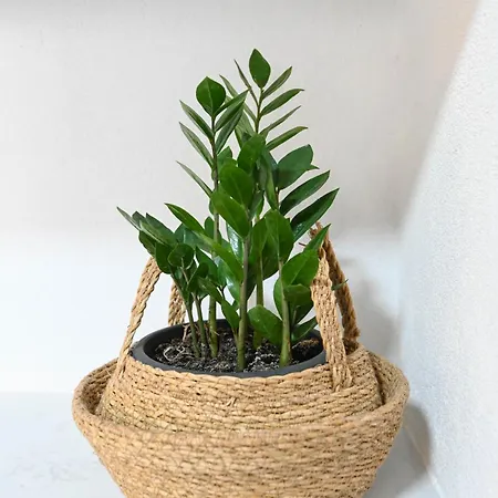 4-star Design Bubamara Апартаменты Задар