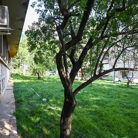 Апартаменты 4-star Design Bubamara