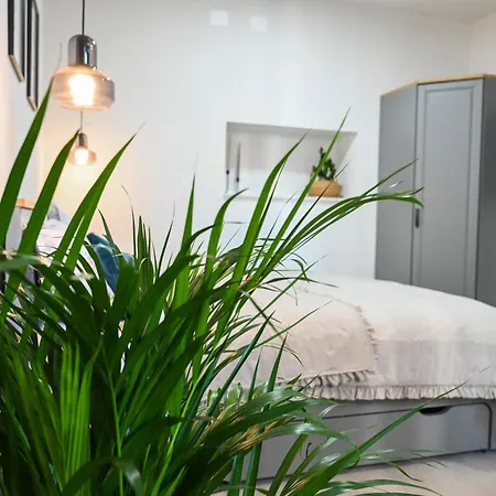 4-star Design Bubamara * Zára
